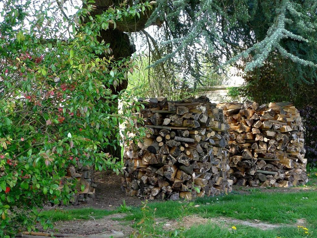Le Sous-Bois B&B Moyenneville  Zewnętrze zdjęcie